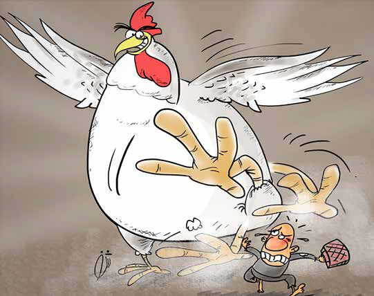 
مرغ گران‌تر از ٢٨ هزار تومان، سودجویی است