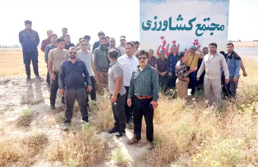 کارگران مجتمع کشت و صنعت باغبانی 

سه ماه مزد طلبکارند