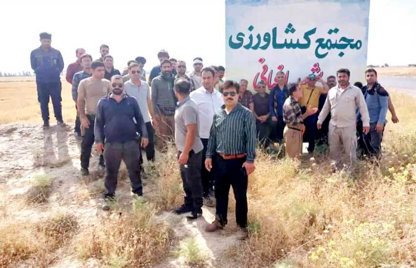 کارگران مجتمع کشت و صنعت باغبانی 

سه ماه مزد طلبکارند