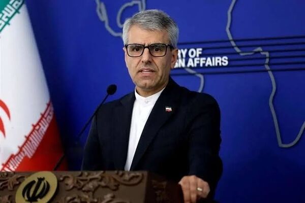 
تا وضعیت خلبانان روشن نشود، 
آنها را اسیر می‌دانیم 