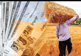 قیمت خرید تضمینی گندم

 ۱۷۵۰۰ تومان اعلام شد