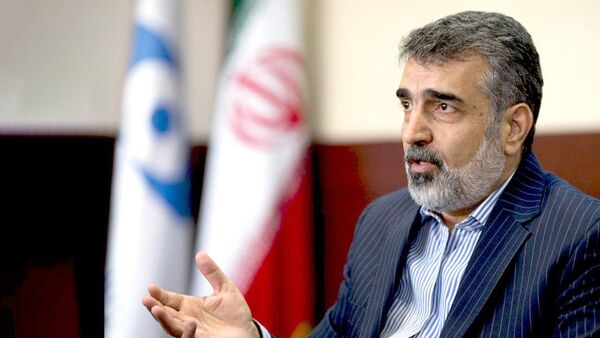 کمالوندی: رفتار آژانس مناسب همکاری نیست