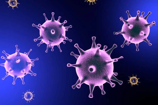 اضطراب مفید است، اما نه در شرایط اپیدمی کرونا