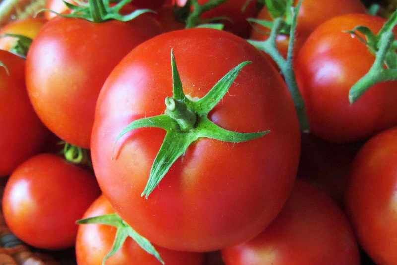 عقب‌افتادگی کشت و هوای متغیر زمستانی