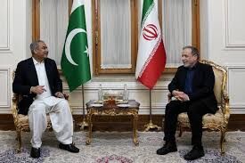 دیدار وزیر کشور پاکستان 
با عراقچی