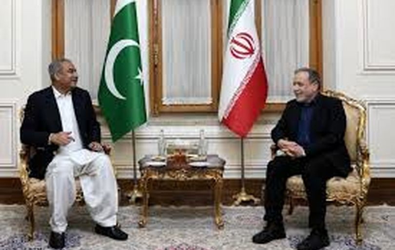دیدار وزیر کشور پاکستان 
با عراقچی
