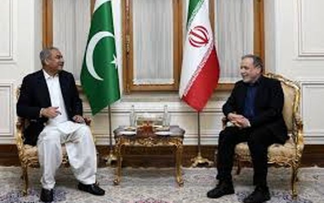 دیدار وزیر کشور پاکستان 
با عراقچی