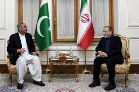 دیدار وزیر کشور پاکستان 
با عراقچی