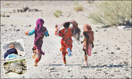 
نقص عضو برای یک کوزه آب