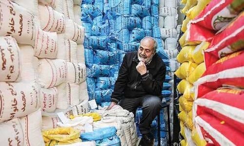 آزادسازی؛ واردات برنج را جایگزین شالی‌کاری می‌کند