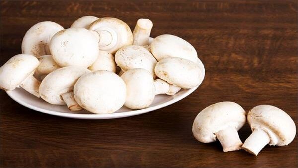 
دومینوی تعطیلی، به مزارع پرورش قارچ رسید

