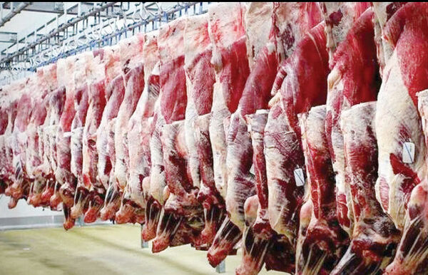 قیمت گوشت با سطح درآمدها تناسب ندارد