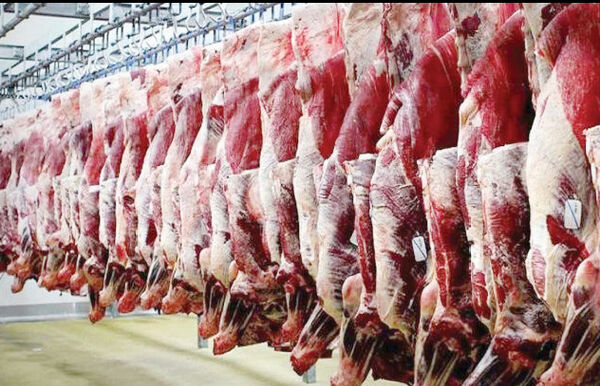 قیمت گوشت با سطح درآمدها تناسب ندارد