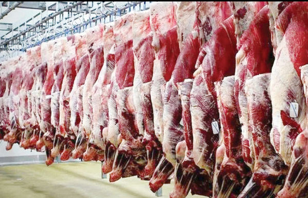 قیمت گوشت با سطح درآمدها تناسب ندارد