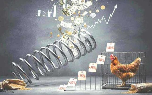 افزایش قیمت مرغ با ارز 148 هزارتومانی نهاده، طبیعی است!