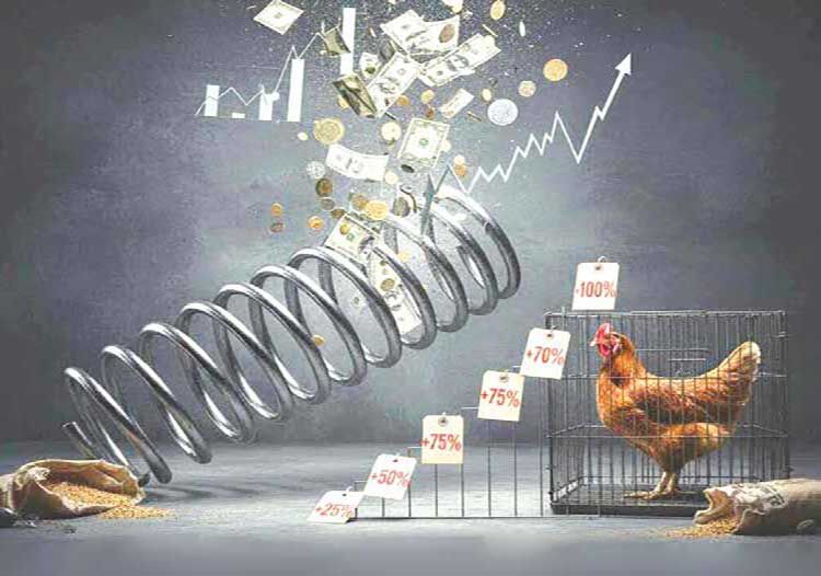 افزایش قیمت مرغ با ارز 148 هزارتومانی نهاده، طبیعی است!
