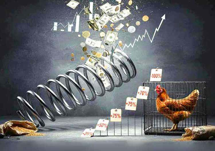 افزایش قیمت مرغ با ارز 148 هزارتومانی نهاده، طبیعی است!