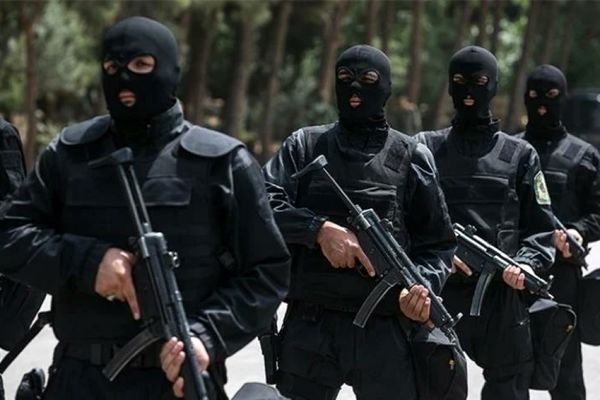 
تعدادی از سرکردگان داعش 

دستگیر شدند