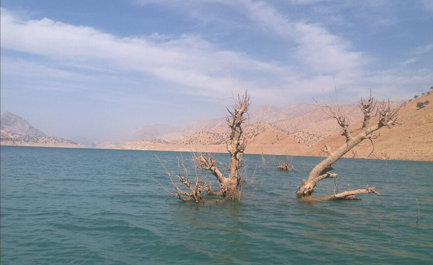 این بار «لیروک» در کمین جنگل‌های زاگرس