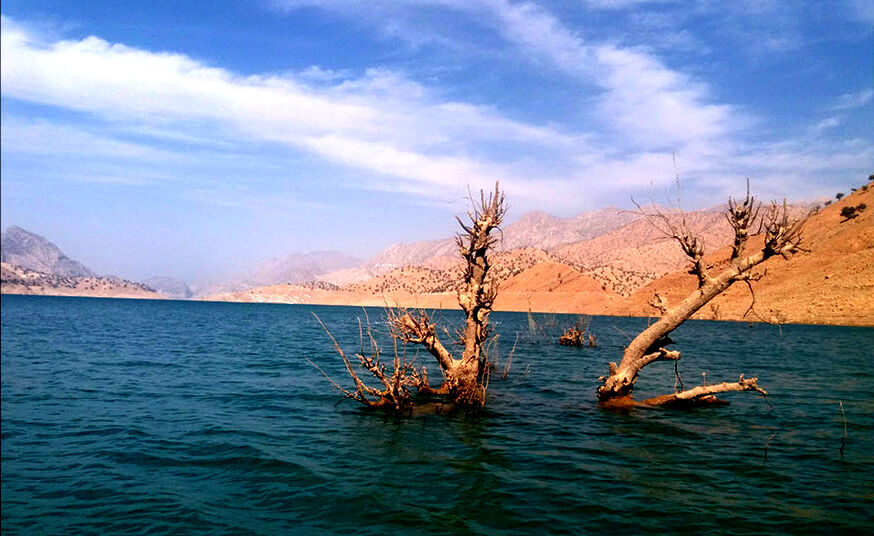 این بار «لیروک» در کمین جنگل‌های زاگرس