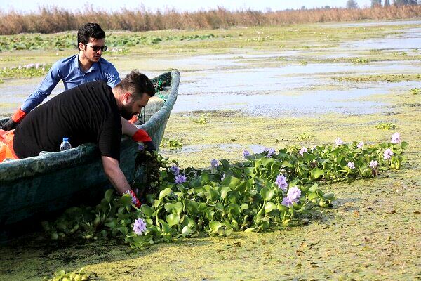 کاهش ۲۲ سانتی تراز آب دریای خزر