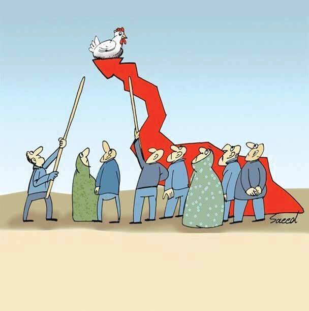 
یک کیلومرغ: ١٠٠,٠٠٠ تومان