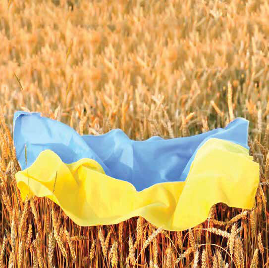 غذای گران‌تر حتی پس از پایان جنگ
