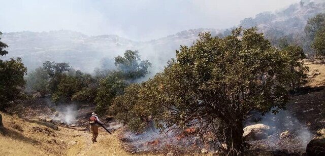 مهار آتش‌سوزی‌ها در منطقه حفاظت شده دنا