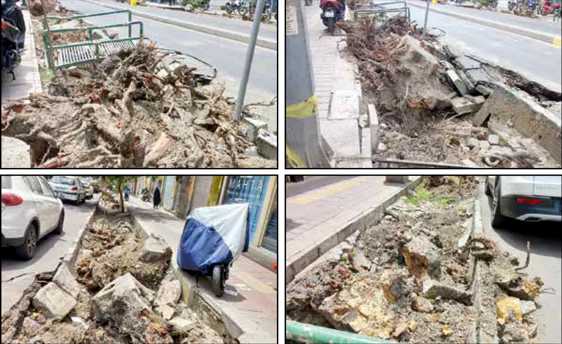 شهرداری منطقه: دلیل؛ درخواست‌های متعدد مردمی بود!
کسبه: درختان را خشک و با بیل مکانیکی ریشه‌کن می‌کنند