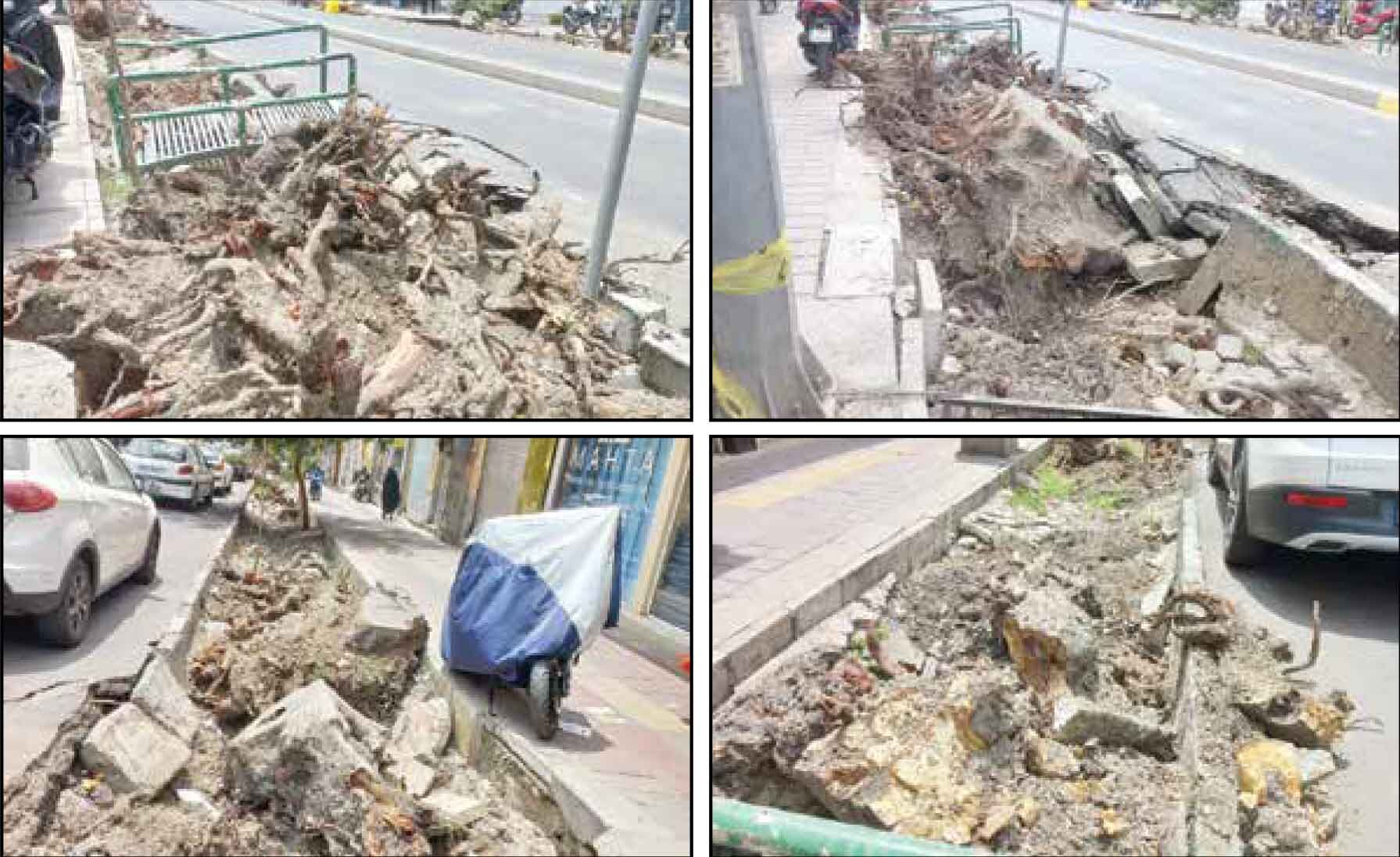 شهرداری منطقه: دلیل؛ درخواست‌های متعدد مردمی بود!
کسبه: درختان را خشک و با بیل مکانیکی ریشه‌کن می‌کنند