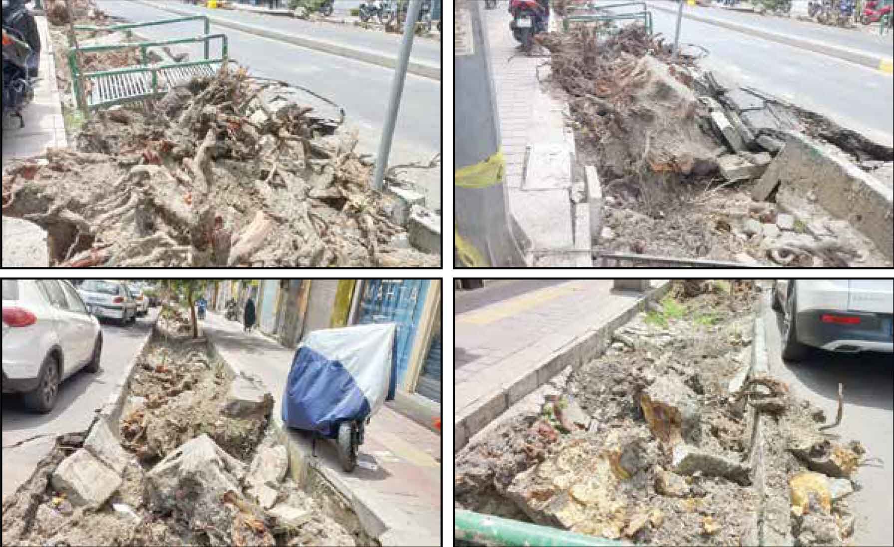 شهرداری منطقه: دلیل؛ درخواست‌های متعدد مردمی بود!
کسبه: درختان را خشک و با بیل مکانیکی ریشه‌کن می‌کنند