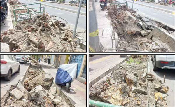 شهرداری منطقه: دلیل؛ درخواست‌های متعدد مردمی بود!
کسبه: درختان را خشک و با بیل مکانیکی ریشه‌کن می‌کنند