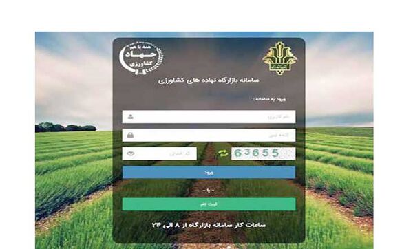 تعداد دلالان در سامانه «بازارگاه» از کل واردکنندگان بیشتر است