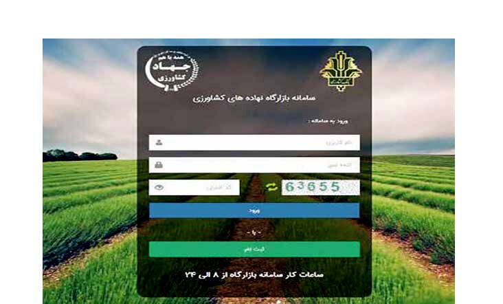 تعداد دلالان در سامانه «بازارگاه» از کل واردکنندگان بیشتر است