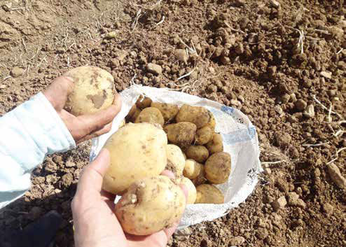 سفره‌هایی که با گرانی ۱۰۰درصدی پهن می‌شوند