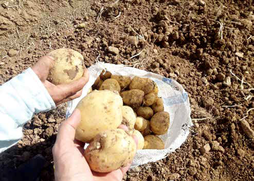 سفره‌هایی که با گرانی ۱۰۰درصدی پهن می‌شوند