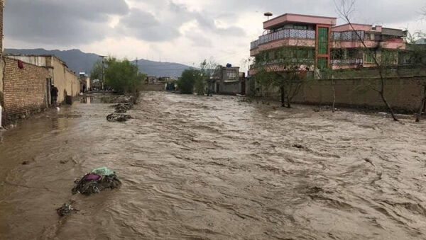 5 استان درگیر سیل و آبگرفتگی هستند 

