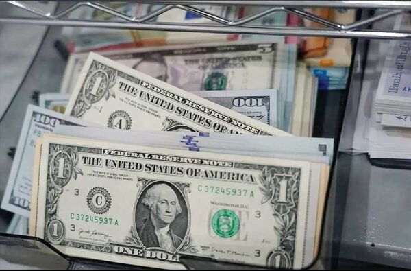 
نرخ ارز در کشور تابع سیاست بانک مرکزی است