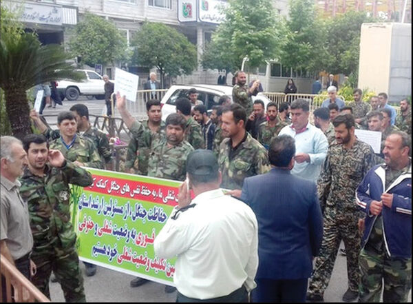 پرداخت حقوق کارگران قرق‌بان جنگل مازندران به تاخیر افتاده است