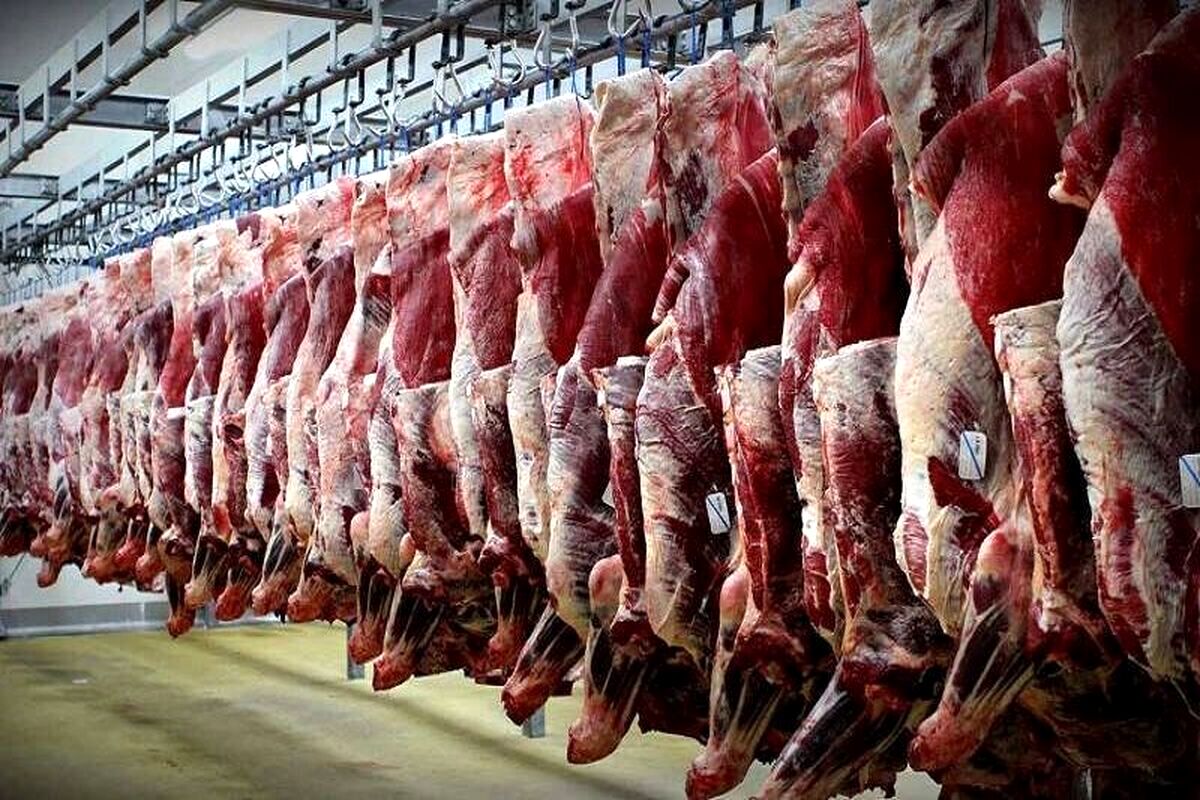 

گرانی گوشت قرمز حاصل سیاست‌های تنظیم بازار است