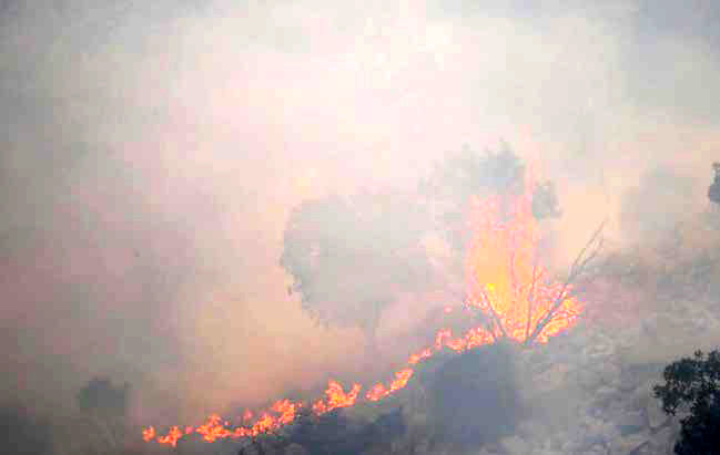 100 مورد آتش‌سوزی جدید تنها در 10روز