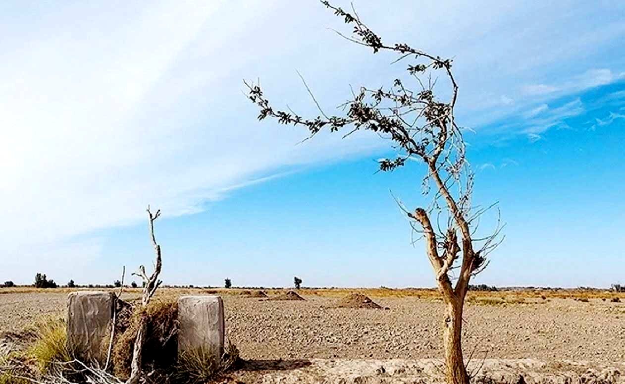 ادامه روند تخریب محیط‌زیست صنعت را نیز به نابودی می‌کشاند