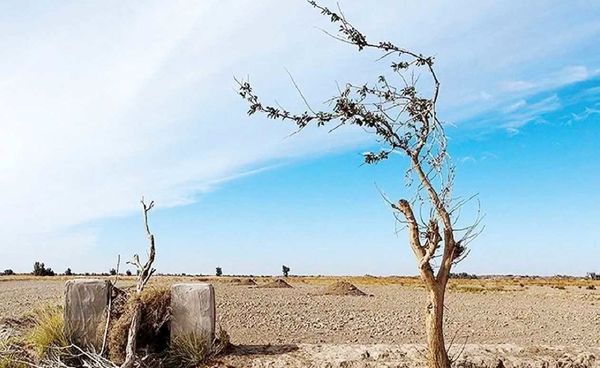 ادامه روند تخریب محیط‌زیست صنعت را نیز به نابودی می‌کشاند