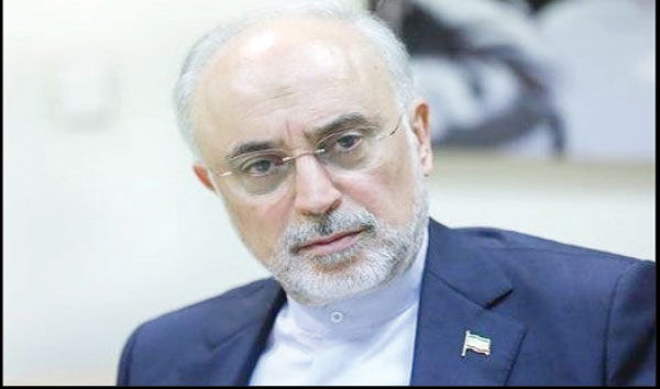 برای ریاست‌جمهوری؟ 
