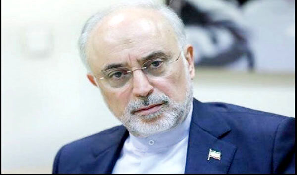 برای ریاست‌جمهوری؟ 
