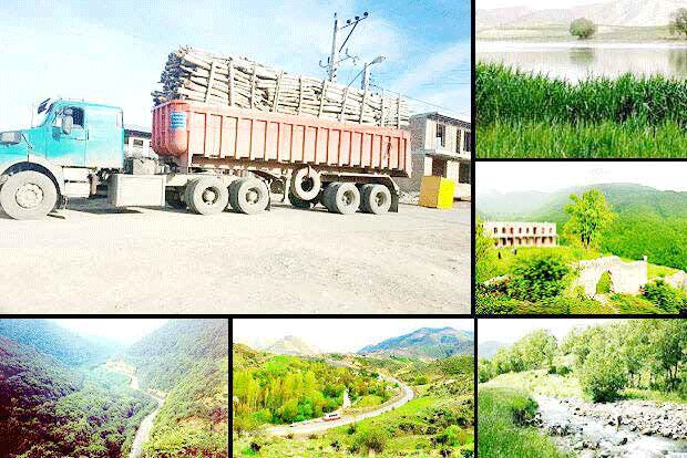 کوچ جنگل‌ارسباران به تاریخ 