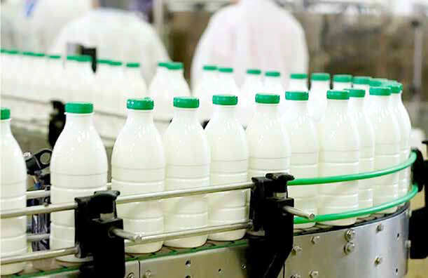 شیر و گوشت در سفره‌های کوچک جایی ندارد