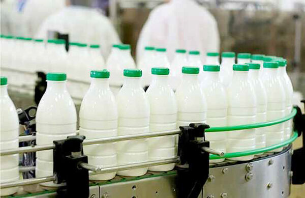 شیر و گوشت در سفره‌های کوچک جایی ندارد