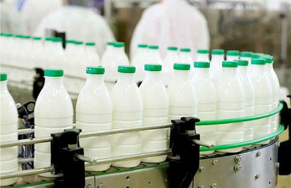 شیر و گوشت در سفره‌های کوچک جایی ندارد