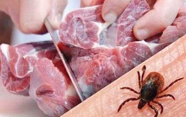 

۴۹ مورد ابتلا به تب کریمه کنگو در کشور

